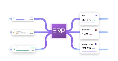 The role of ERP Software